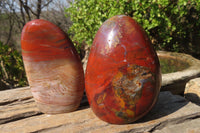 Polished Red Jasper Standing Free Forms x 4 From Madagascar - Toprock Gemstones and Minerals 