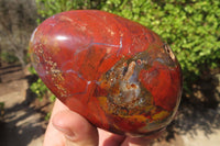 Polished Red Jasper Standing Free Forms x 4 From Madagascar - Toprock Gemstones and Minerals 