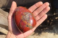 Polished Red Jasper Standing Free Forms x 4 From Madagascar - Toprock Gemstones and Minerals 