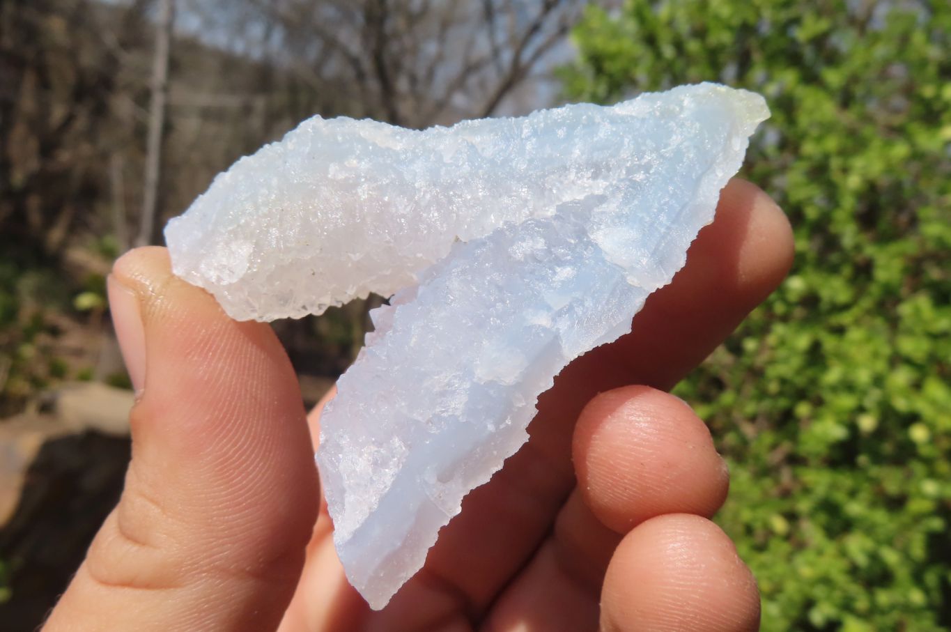 Natural Etched Blue Chalcedony Specimens x 12 From Nsanje, Malawi - Toprock Gemstones and Minerals 
