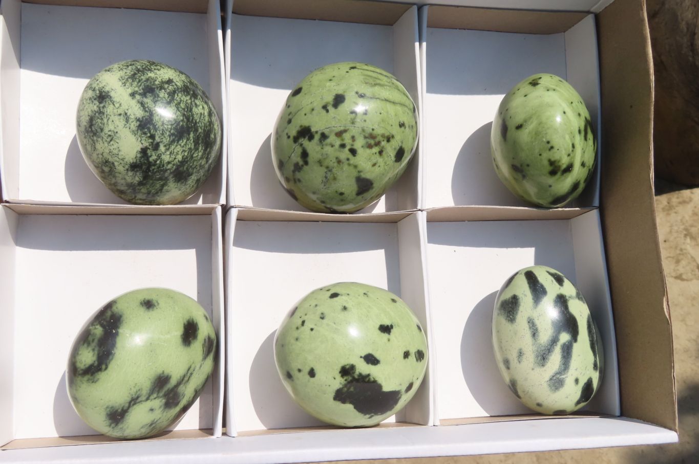 Polished Leopard Stone Free Forms x 6 From Inyanga, Zimbabwe - Toprock Gemstones and Minerals 