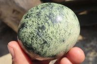 Polished Leopard Stone Free Forms x 6 From Inyanga, Zimbabwe - Toprock Gemstones and Minerals 