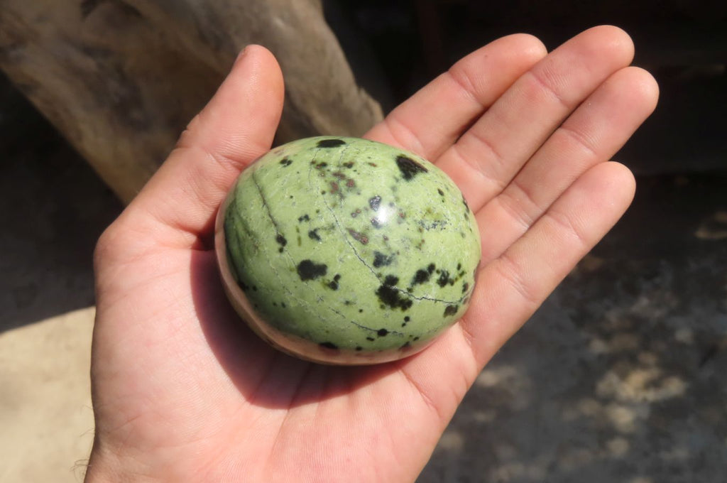 Polished Leopard Stone Free Forms x 6 From Inyanga, Zimbabwe - Toprock Gemstones and Minerals 