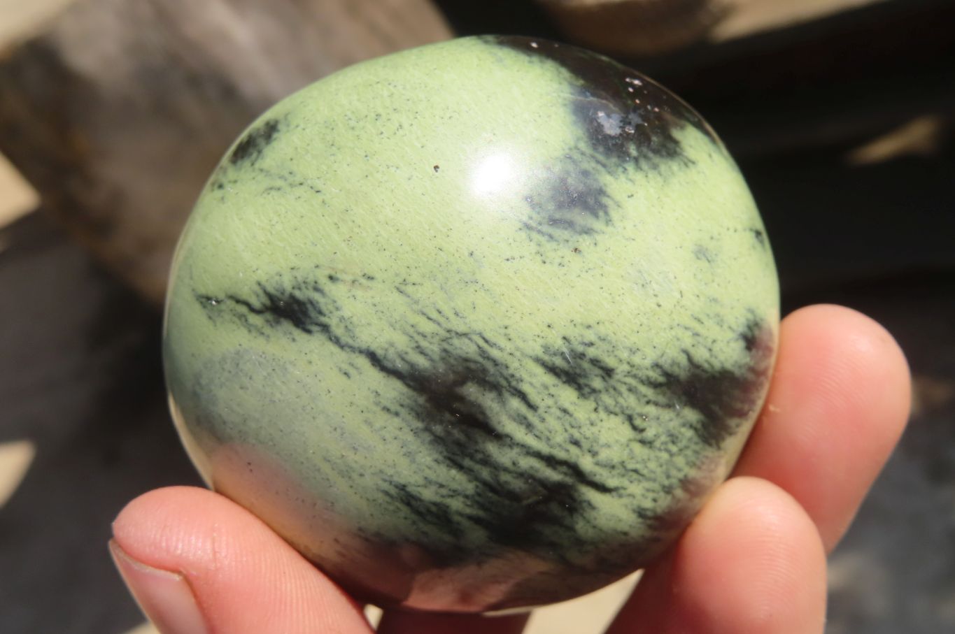 Polished Leopard Stone Free Forms x 6 From Inyanga, Zimbabwe - Toprock Gemstones and Minerals 