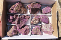 Natural Metallic Purpurite Cobbed Specimens x 12 From Erongo, Namibia - Toprock Gemstones and Minerals 