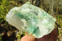 Natural Jade Cobbed Specimens x 24 From Swaziland