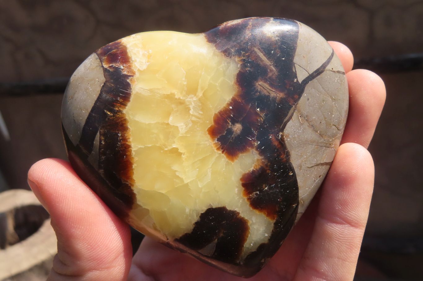 Polished Septerye Hearts x 6 From Mahajanga, Madagascar - Toprock Gemstones and Minerals 