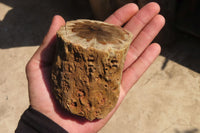 Polished Petrified Wood Branch Pieces x 4 From Gokwe, Zimbabwe - Toprock Gemstones and Minerals 