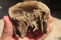 Polished Petrified Wood Branch Pieces x 4 From Gokwe, Zimbabwe - Toprock Gemstones and Minerals 