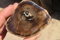 Polished Petrified Wood Branch Pieces x 4 From Gokwe, Zimbabwe - Toprock Gemstones and Minerals 