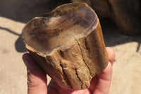 Polished Petrified Wood Branch Pieces x 4 From Gokwe, Zimbabwe - Toprock Gemstones and Minerals 