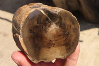 Polished Petrified Wood Branch Pieces x 4 From Gokwe, Zimbabwe - Toprock Gemstones and Minerals 