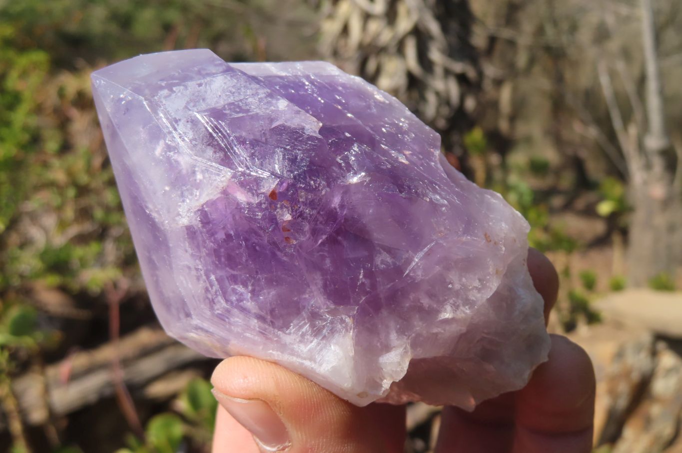 Polished Jacaranda Amethyst Single Crystals x 6 From Mumbwa, Zambia - Toprock Gemstones and Minerals 