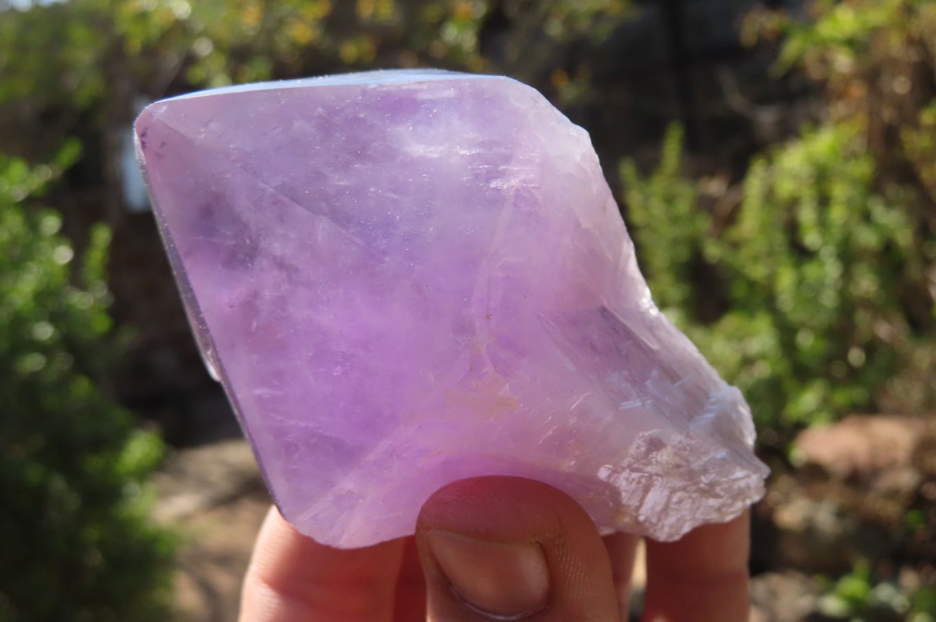 Polished Jacaranda Amethyst Single Crystals x 6 From Mumbwa, Zambia - Toprock Gemstones and Minerals 