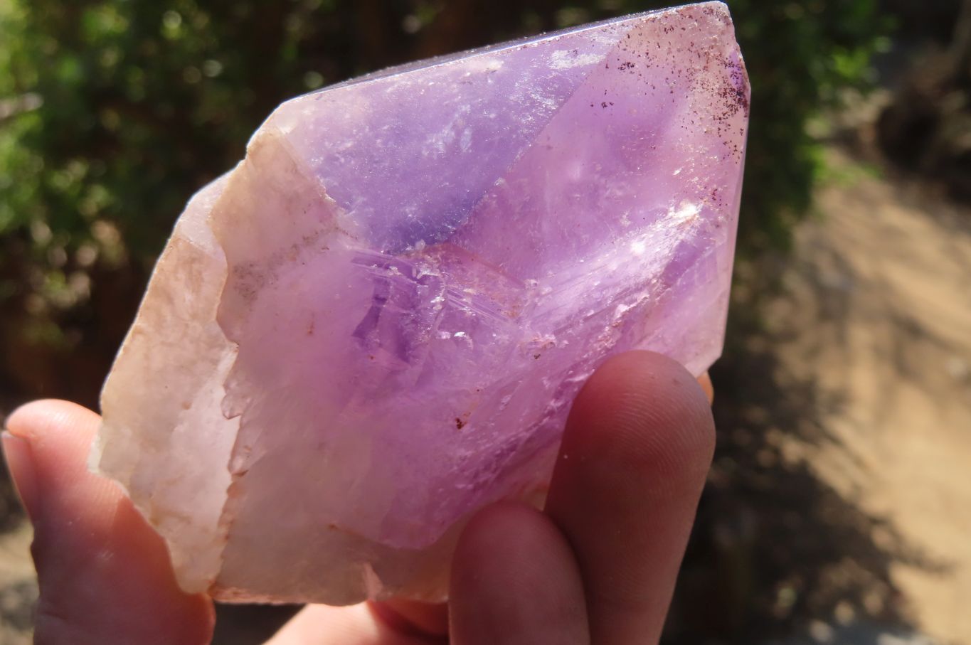 Polished Jacaranda Amethyst Single Crystals x 6 From Mumbwa, Zambia - Toprock Gemstones and Minerals 