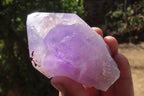 Polished Jacaranda Amethyst Single Crystals x 6 From Mumbwa, Zambia - Toprock Gemstones and Minerals 