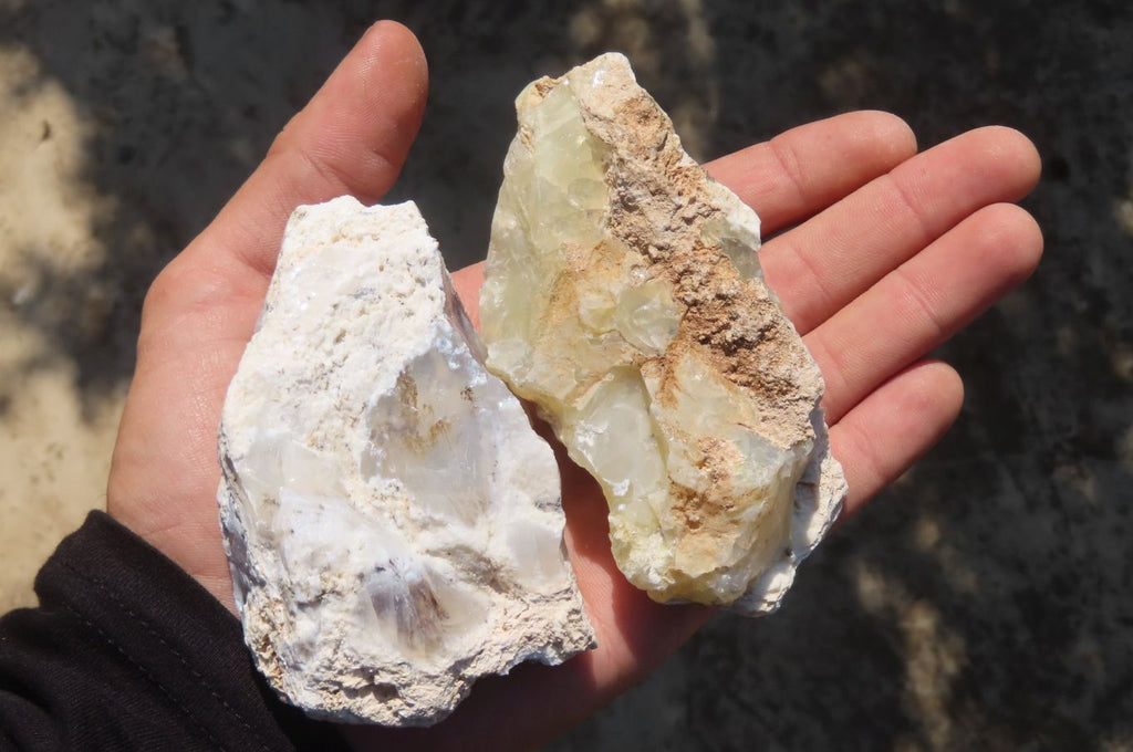 Natural Dendritic Opal Specimens x 12 From Namibia - Toprock Gemstones and Minerals 