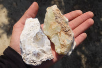 Natural Dendritic Opal Specimens x 12 From Namibia