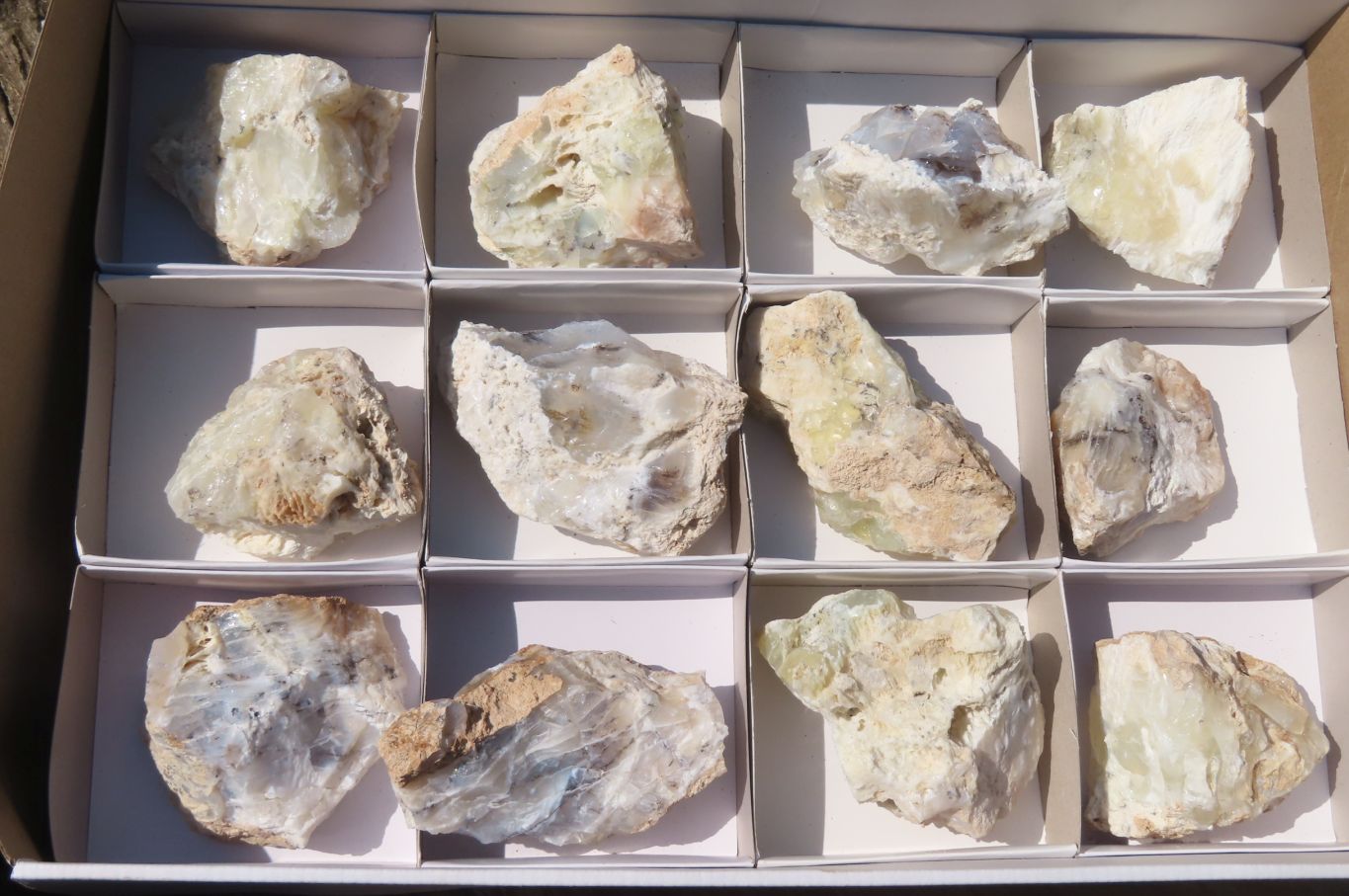 Natural Dendritic Opal Specimens x 12 From Namibia - Toprock Gemstones and Minerals 