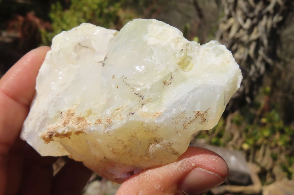Natural Dendritic Opal Specimens x 12 From Namibia - Toprock Gemstones and Minerals 