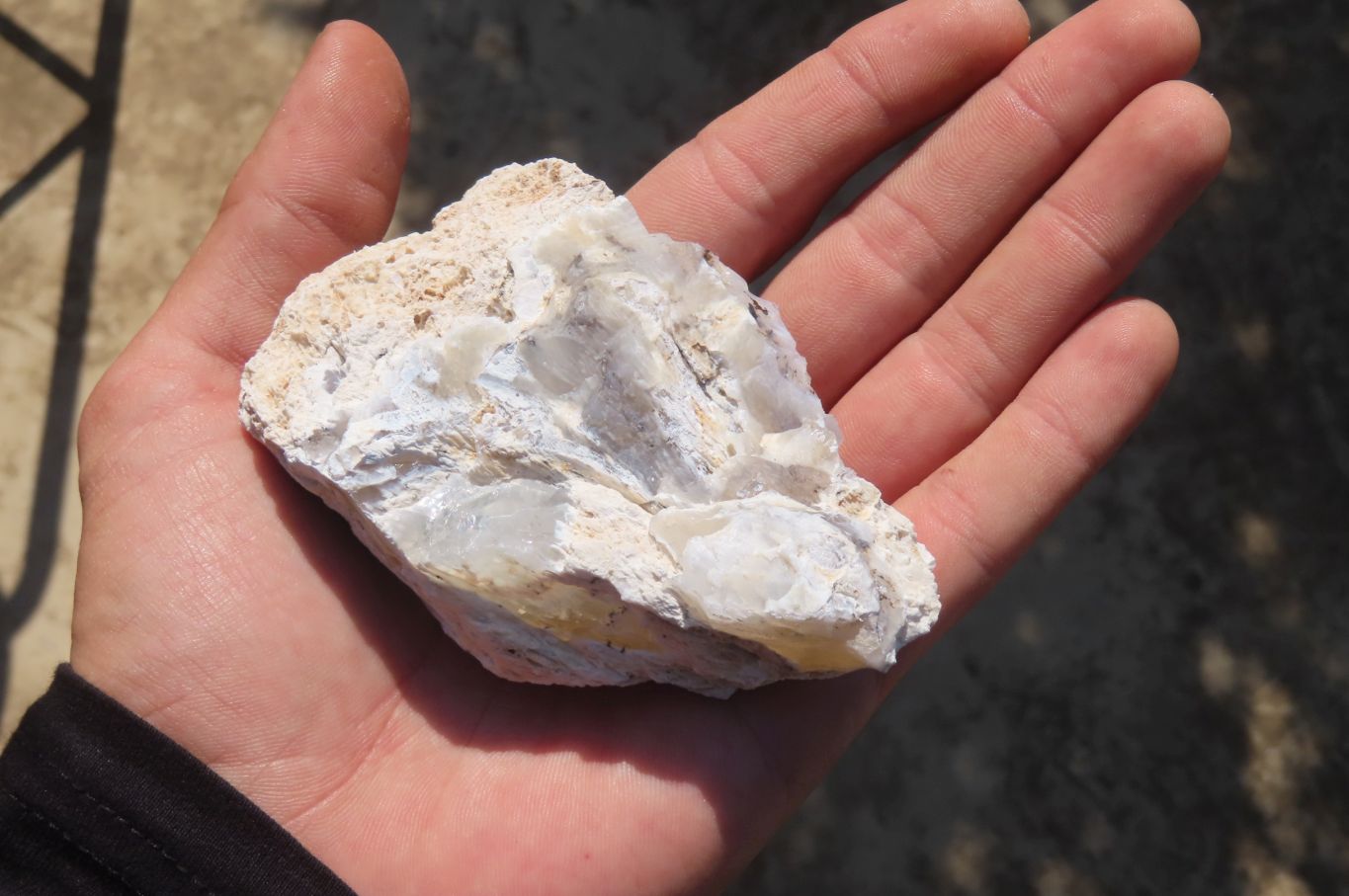 Natural Dendritic Opal Specimens x 12 From Namibia - Toprock Gemstones and Minerals 