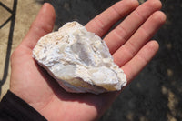 Natural Dendritic Opal Specimens x 12 From Namibia