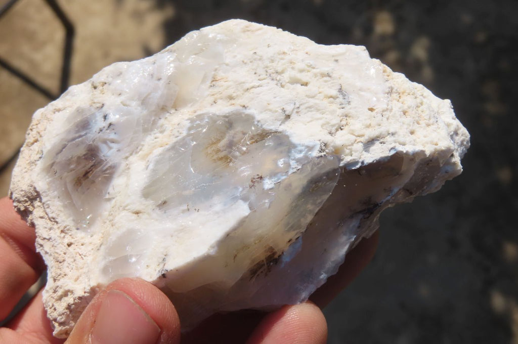 Natural Dendritic Opal Specimens x 12 From Namibia - Toprock Gemstones and Minerals 