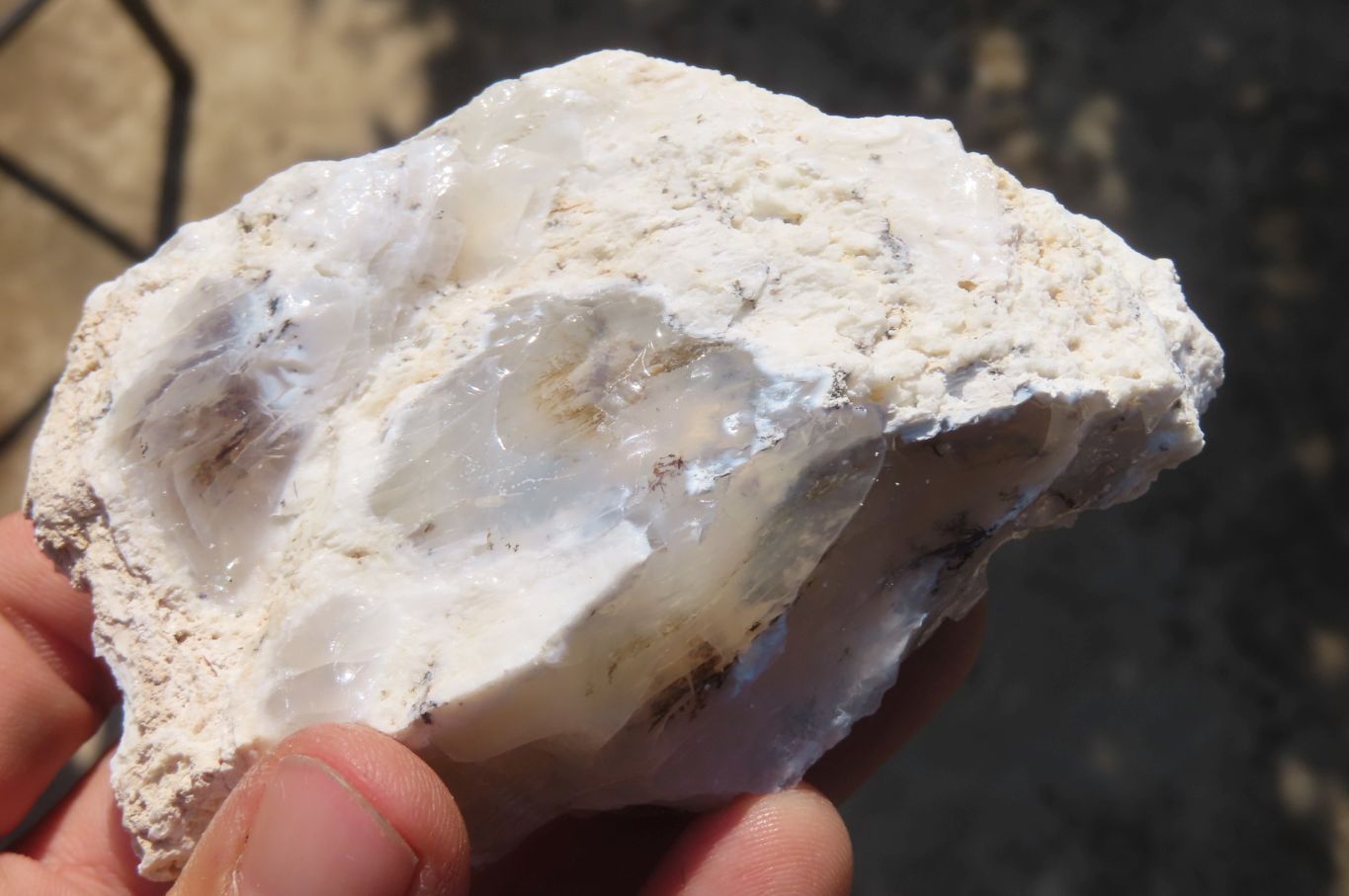 Natural Dendritic Opal Specimens x 12 From Namibia - Toprock Gemstones and Minerals 