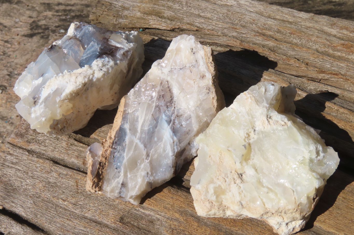 Natural Dendritic Opal Specimens x 12 From Namibia - Toprock Gemstones and Minerals 