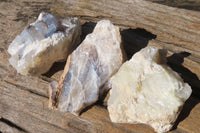 Natural Dendritic Opal Specimens x 12 From Namibia