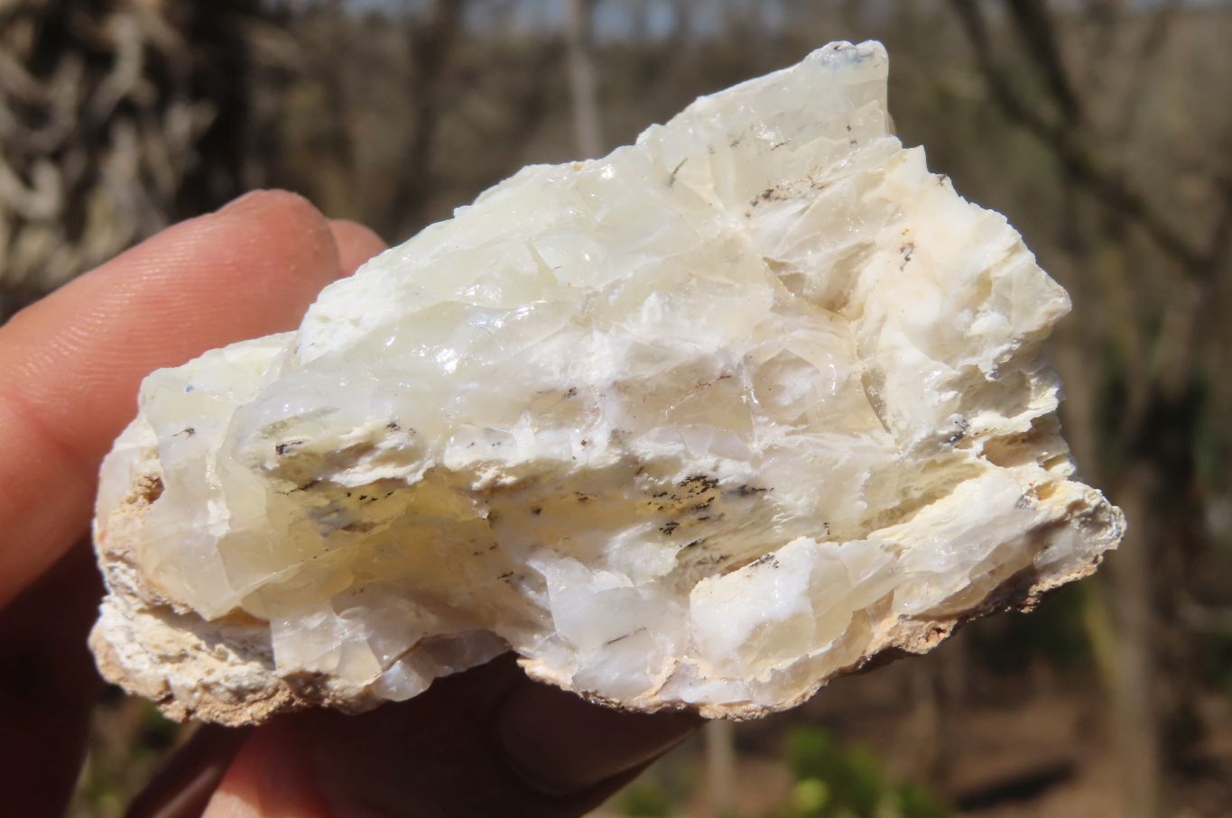 Natural Dendritic Opal Specimens x 12 From Namibia - Toprock Gemstones and Minerals 