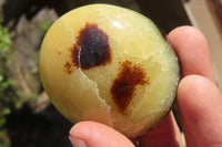 Polished Septerye Galet / Palm Stones x 12 From Mahajanga, Madagascar - Toprock Gemstones and Minerals 