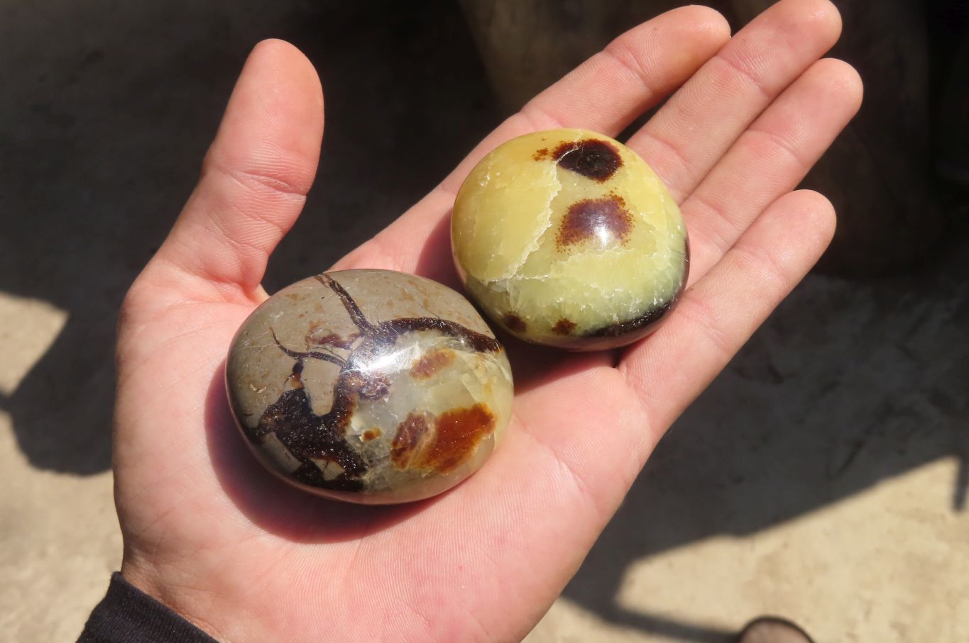 Polished Septerye Galet / Palm Stones x 12 From Mahajanga, Madagascar - Toprock Gemstones and Minerals 