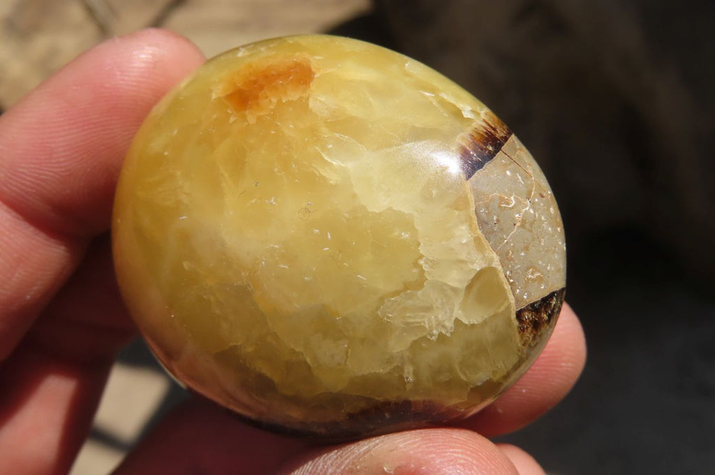 Polished Septerye Galet / Palm Stones x 12 From Mahajanga, Madagascar - Toprock Gemstones and Minerals 
