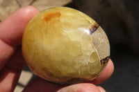 Polished Septerye Galet / Palm Stones x 12 From Mahajanga, Madagascar - Toprock Gemstones and Minerals 