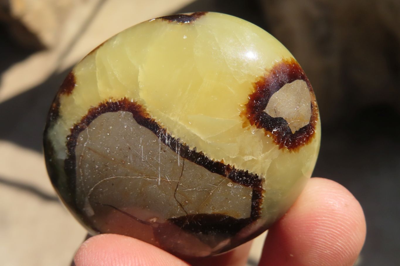 Polished Septerye Galet / Palm Stones x 12 From Mahajanga, Madagascar - Toprock Gemstones and Minerals 