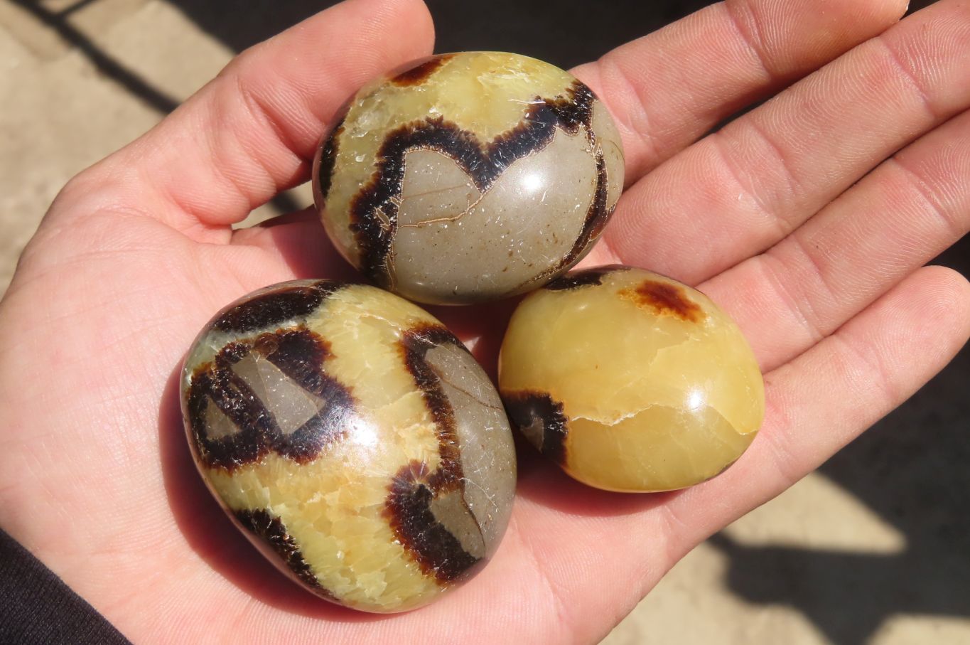Polished Septerye Galet / Palm Stones x 12 From Mahajanga, Madagascar - Toprock Gemstones and Minerals 