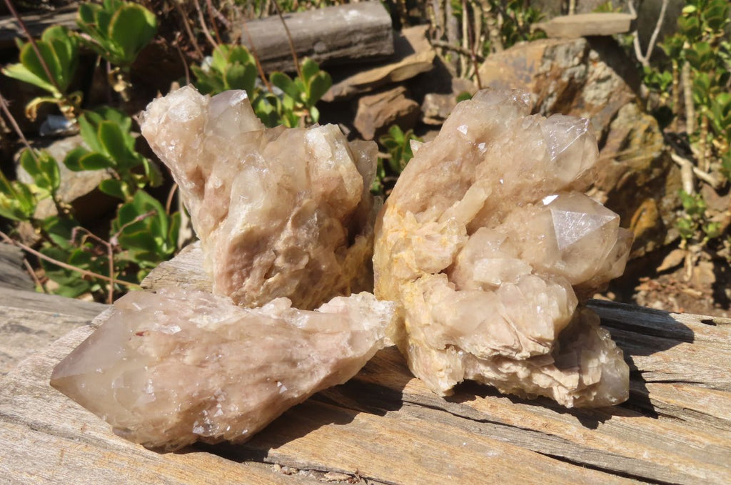 Natural Smokey Quartz Clusters x 3 From Luena, Congo - Toprock Gemstones and Minerals 