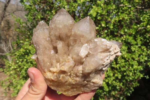 Natural Smokey Quartz Clusters x 3 From Luena, Congo - Toprock Gemstones and Minerals 