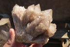 Natural Smokey Quartz Clusters x 3 From Luena, Congo - Toprock Gemstones and Minerals 