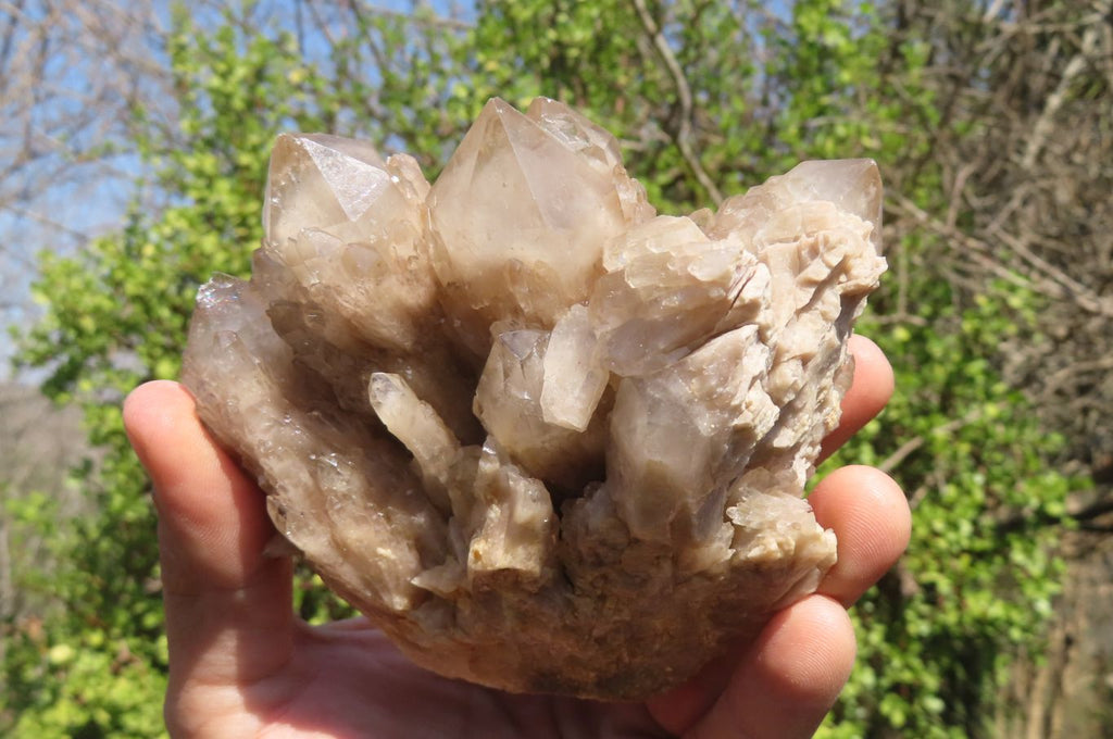 Natural Smokey Quartz Clusters x 3 From Luena, Congo - Toprock Gemstones and Minerals 