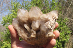 Natural Smokey Quartz Clusters x 3 From Luena, Congo - Toprock Gemstones and Minerals 