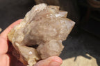 Natural Smokey Quartz Clusters x 3 From Luena, Congo - Toprock Gemstones and Minerals 