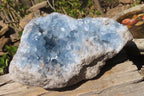 Natural Celestite Geode x 1 From Sakoany, Madagascar - Toprock Gemstones and Minerals 