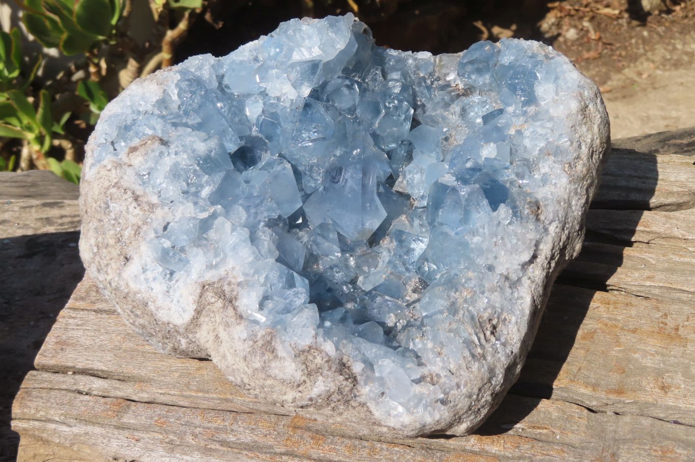 Natural Celestite Geode x 1 From Sakoany, Madagascar - Toprock Gemstones and Minerals 