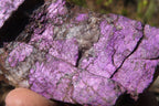 Natural Purpurite Specimens x 3 From Erongo, Namibia - Toprock Gemstones and Minerals 