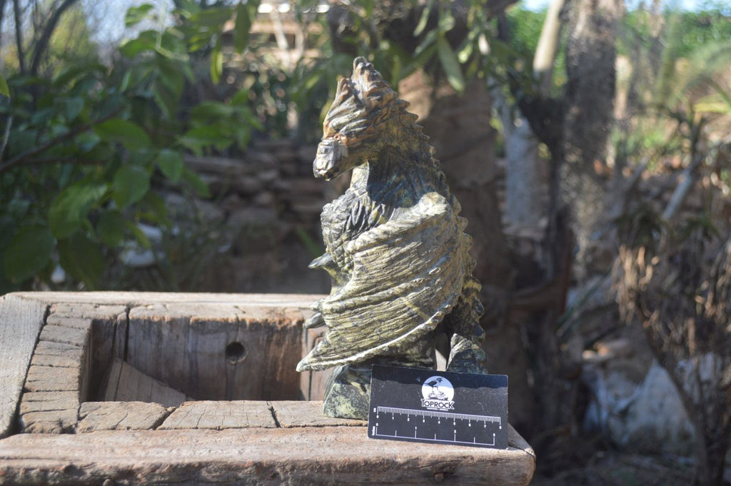 Polished Leopard Stone Welsh Dragon Carving x 1 From Zimbabwe - Toprock Gemstones and Minerals 