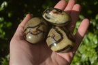 Polished Septerye Galet / Palm Stones x 12 From Mahajanga, Madagascar - Toprock Gemstones and Minerals 