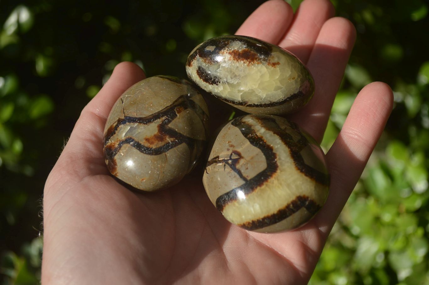 Polished Septerye Galet / Palm Stones x 12 From Mahajanga, Madagascar - Toprock Gemstones and Minerals 