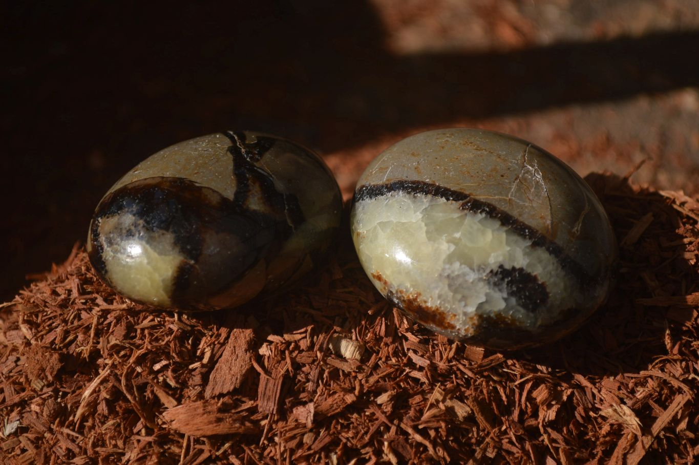 Polished Septerye Galet / Palm Stones x 12 From Mahajanga, Madagascar - Toprock Gemstones and Minerals 